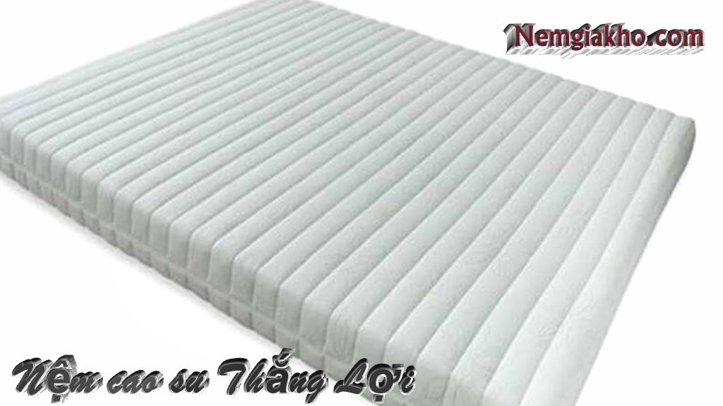 Nệm cao su Thắng Lợi giá rẻ tại tp hồ chí minh