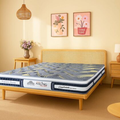 Đệm lò xo Kim Cương Asling Pro Max (chỉ có tại khu vực miền bắc)