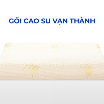 Gối cao su Vạn Thành