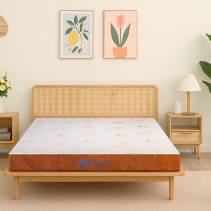 Nệm Aroma Foam Latex