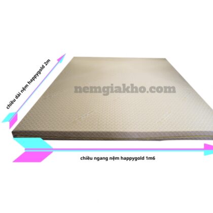 Nệm Kim Cương 1m6