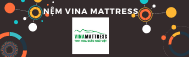 Nệm Foam Vina mattress