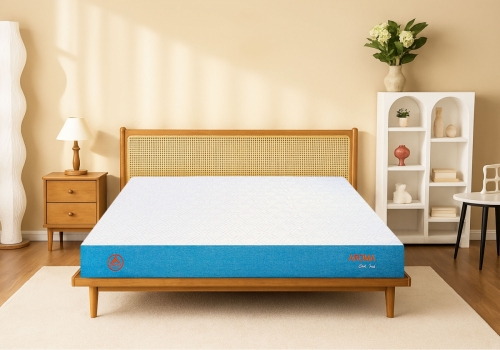 Mua Nệm Foam 1m6x2m Chính Hãng Giá Tốt Ở Đâu