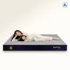 Nệm Aroma Super Foam Plus