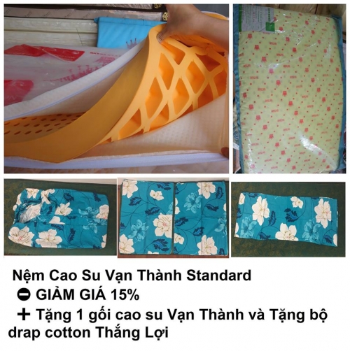 Những vấn đề cần cân nhắc trước khi mua nệm Cao Su Vạn Thành