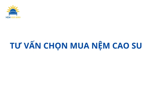 {Tư vấn} chọn mua nệm cao su nào