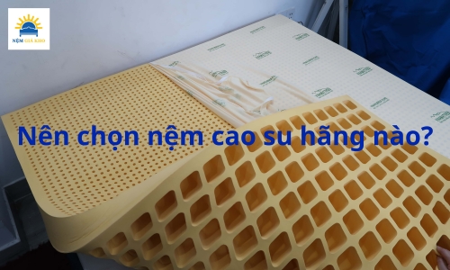 Nên chọn nệm cao su hãng nào?