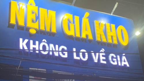 Mua nệm bông ép Kim Cương 1m4 giá rẻ