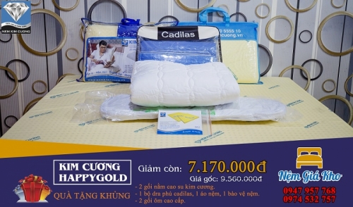 Nệm cao su thiên nhiên Kim Cương Cần Thơ