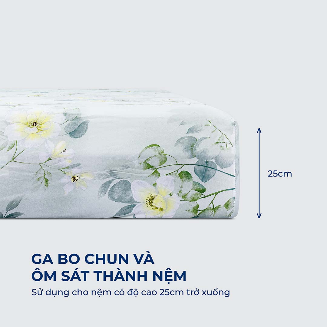 Drap iKOOL 9 3 Drap iKOOL 9 - Ảnh 3
