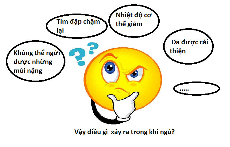 Tầm quan trọng của giấc ngủ như thế nào ? 6 Tầm quan trọng của giấc ngủ như thế nào ?