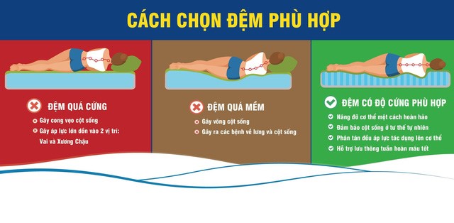 Cửa hàng đại lý Nệm cao su Kim Cương tại Bình Dương