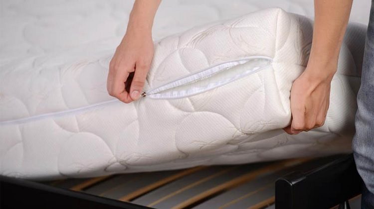 Hướng dẫn cách vệ sinh Nệm bông ép Kim Cương đúng cách