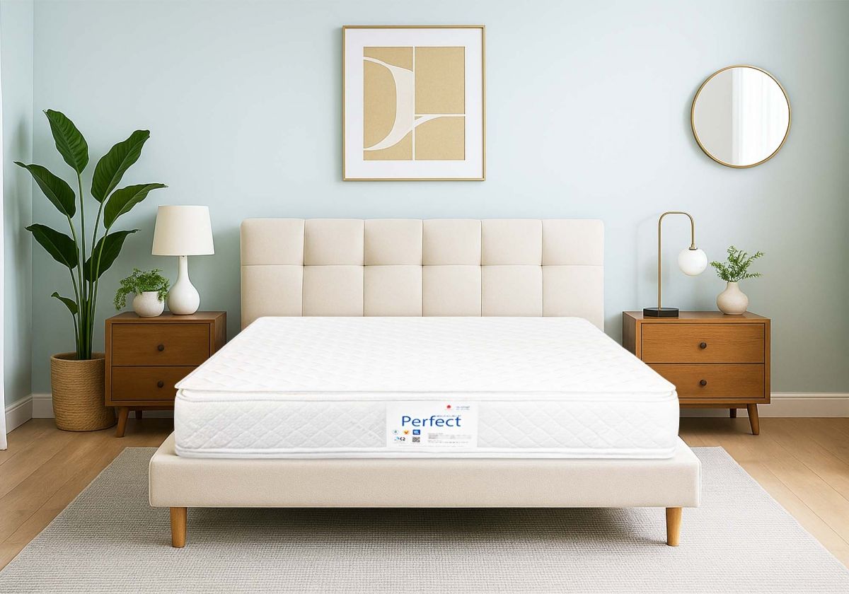 Các Loại Nệm Vạn Thành ở các Quận 5 Các Loại Nệm Vạn Thành ở các Quận