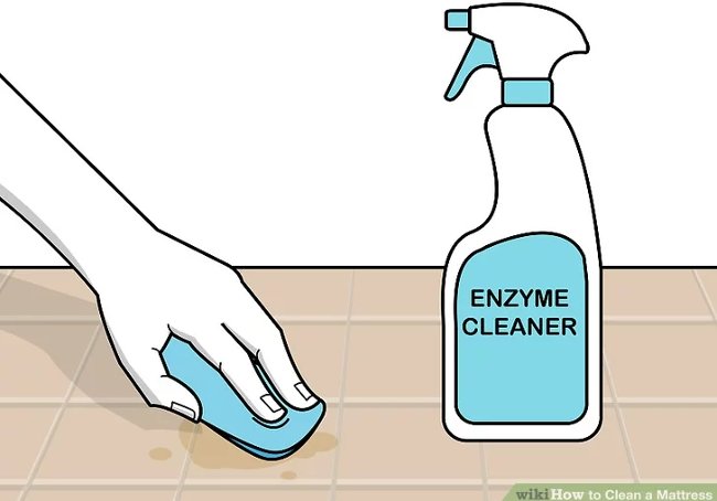 Cách vệ sinh nệm đơn giản tại nhà 9 Cách vệ sinh nệm đơn giản tại nhà