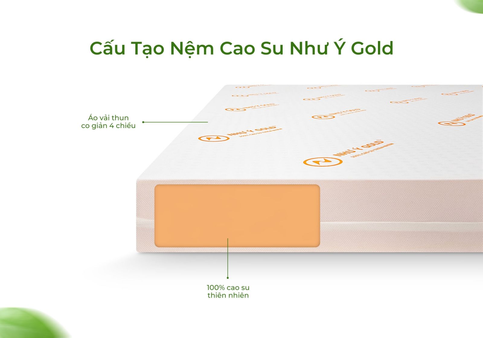 Nệm Cao Su Như Ý Gold 16 Nệm Cao Su Như Ý Gold