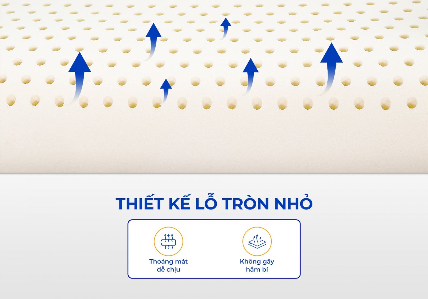 Gối cao su Vạn Thành 9 Gối cao su Vạn Thành