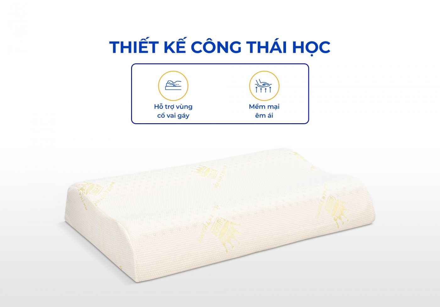 Gối cao su Vạn Thành 5 Gối cao su Vạn Thành