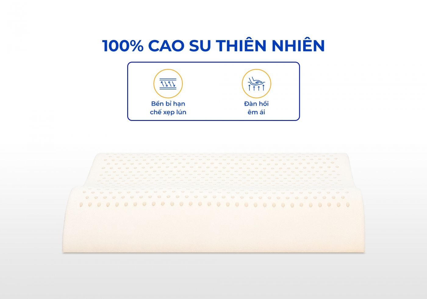 Gối cao su Vạn Thành 6 Gối cao su Vạn Thành