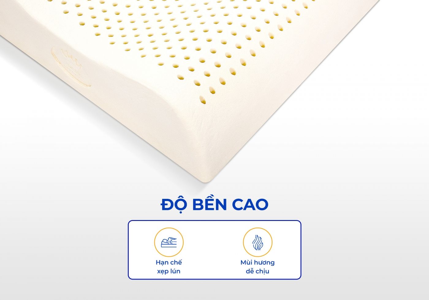 Gối cao su Vạn Thành 8 Gối cao su Vạn Thành
