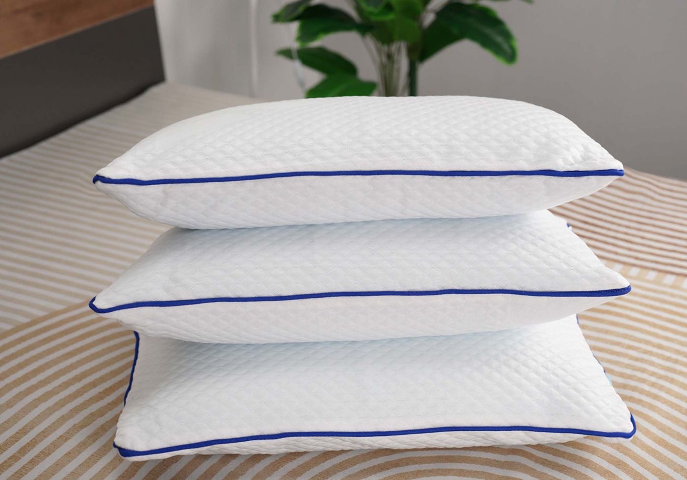 Gối Nằm Foam Aroma 6 Gối Nằm Foam Aroma