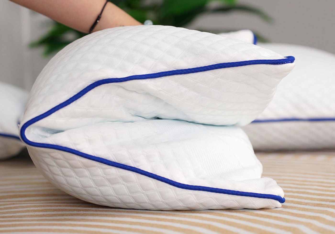 Gối Nằm Foam Aroma 5 Gối Nằm Foam Aroma