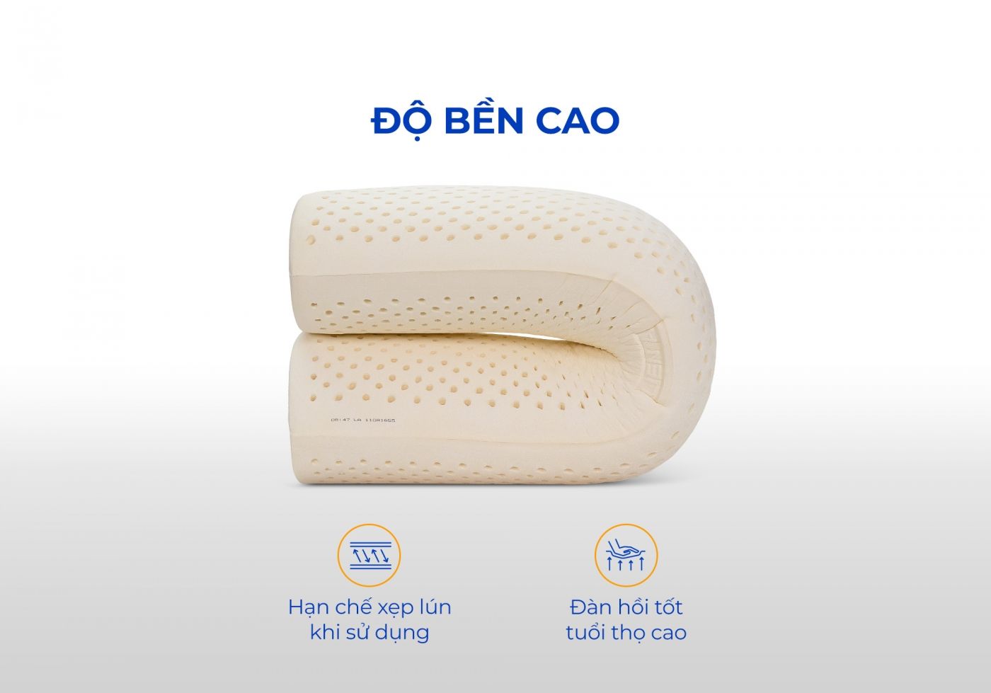 Gối ôm cao su Liên Á 6 Gối ôm cao su Liên Á