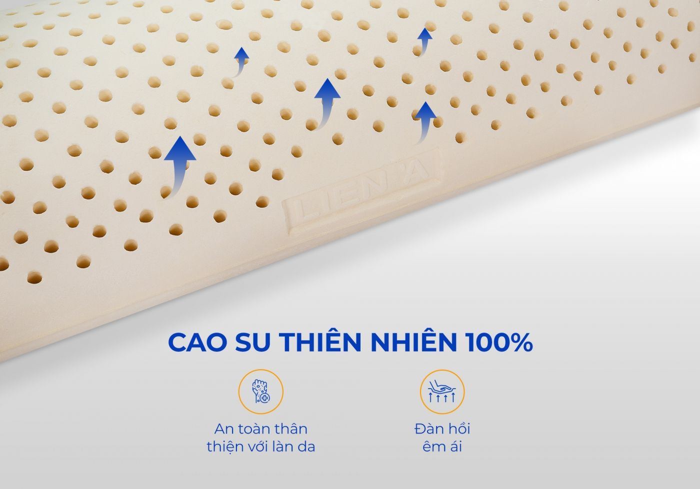 Gối ôm cao su Liên Á 5 Gối ôm cao su Liên Á