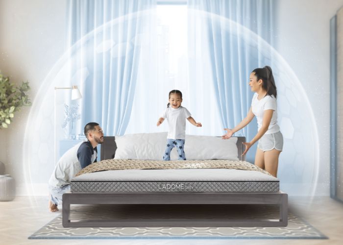 Giá Bán Nệm Cao Su Thiên Nhiên 1m6x2m Cập Nhật Mới Nhất 9 Nệm Cao Su Thiên Nhiên 100% Cao Cấp, Giá Tốt