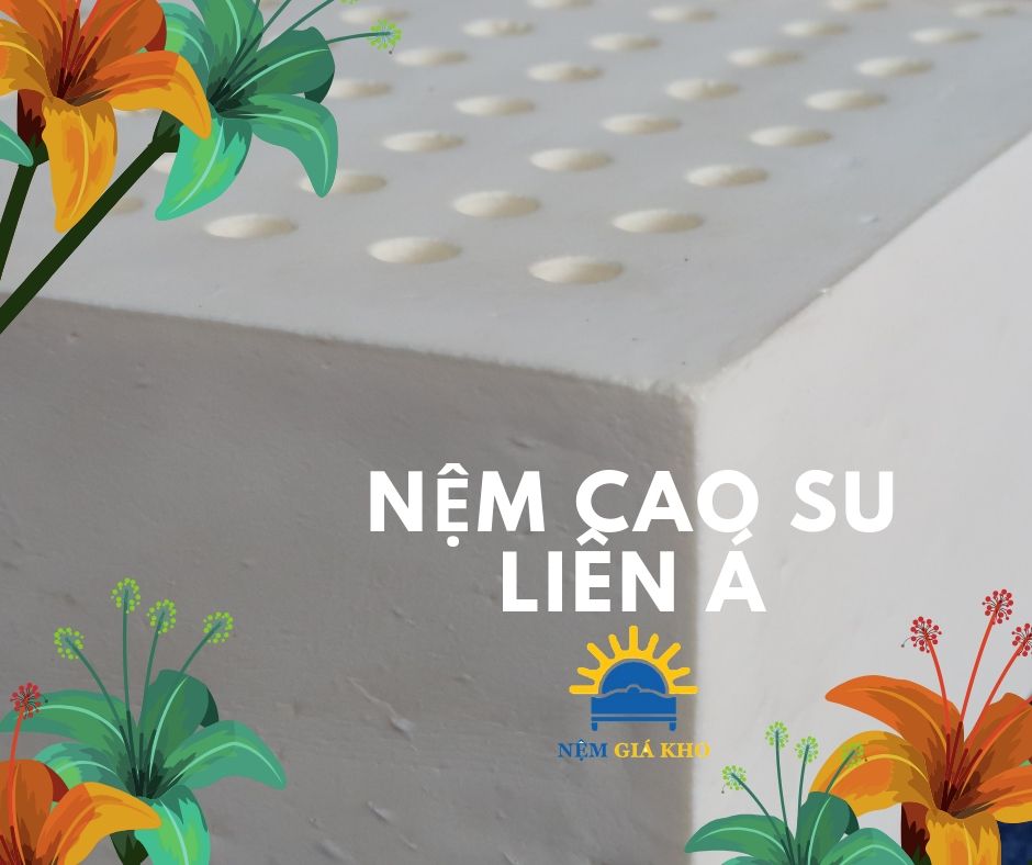 Dòng Nệm Cao Su Liên Á bán chạy số 1 Việt Nam 6 Dòng Nệm Cao Su Liên Á bán chạy số 1 Việt Nam
