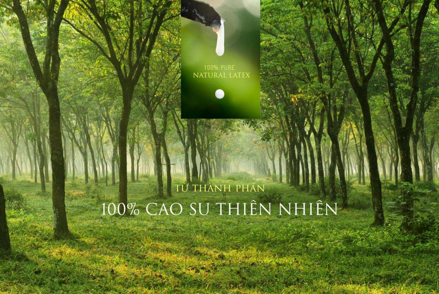 Dòng Nệm Cao Su Vạn Thành bán chạy Số 1 Việt Nam 8 Dòng Nệm Cao Su Vạn Thành bán chạy Số 1 Việt Nam