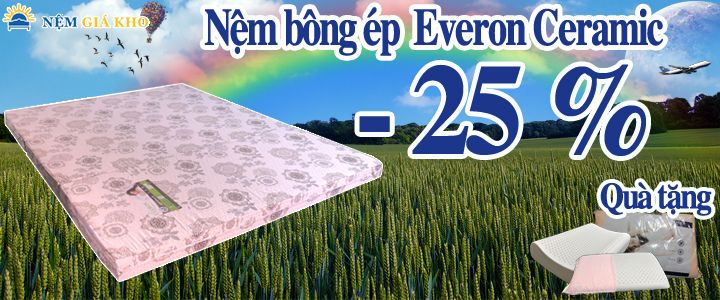 ĐẠI LÝ NỆM BÔNG ÉP EVERON
