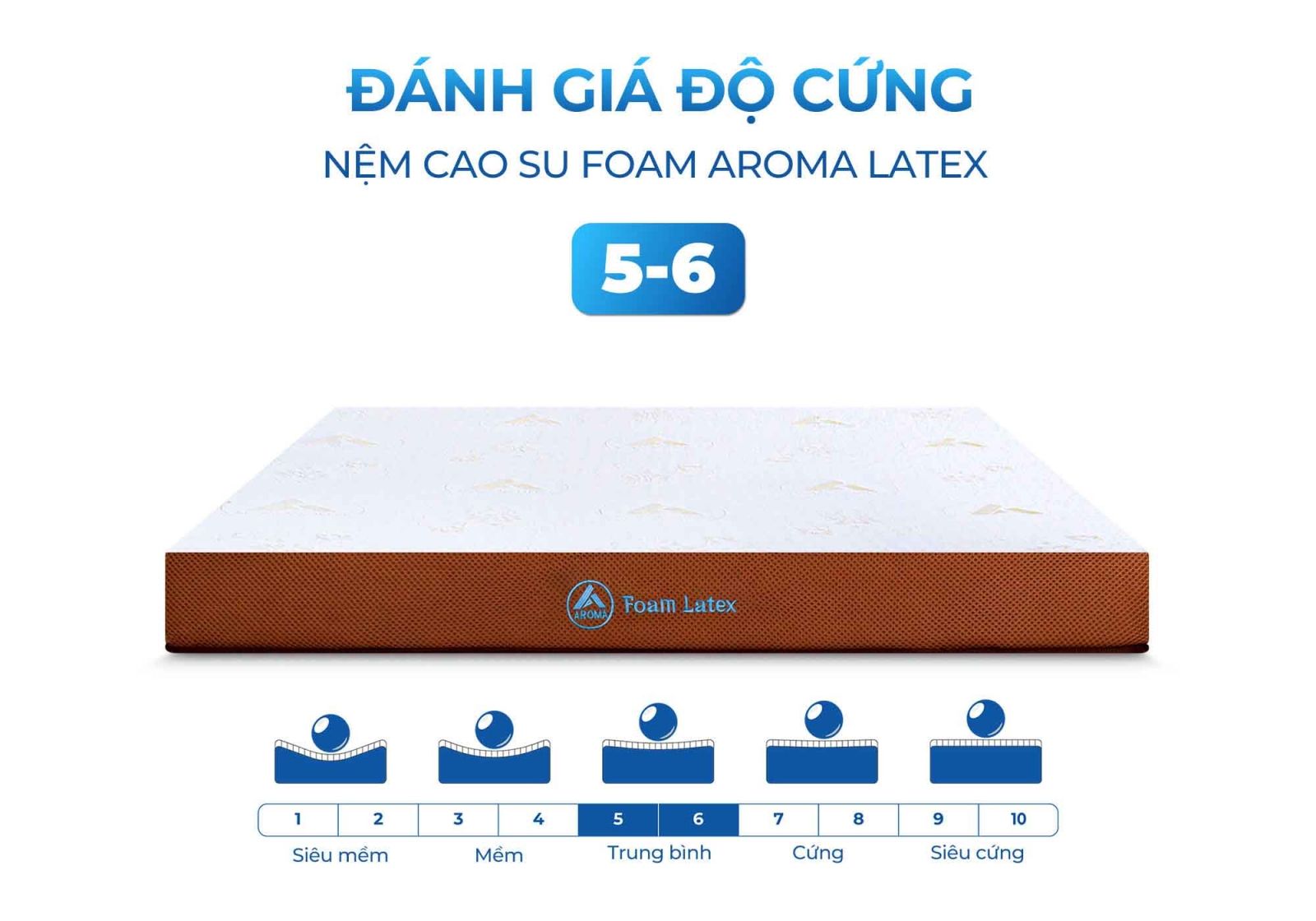 Nệm Aroma Foam Latex 17 Nệm cao su Aroma Foam Latex (tên cũ Adora)