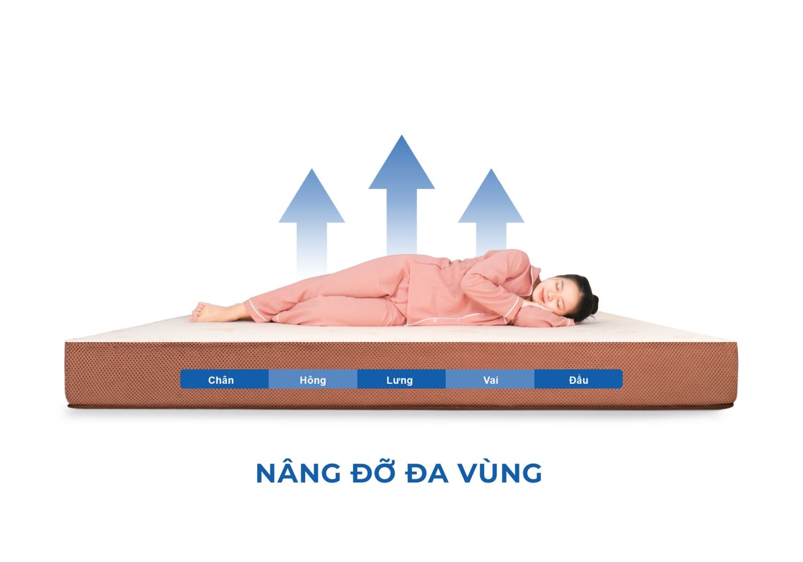 Nệm Aroma Foam Latex 16 Nệm cao su Aroma Foam Latex (tên cũ Adora)