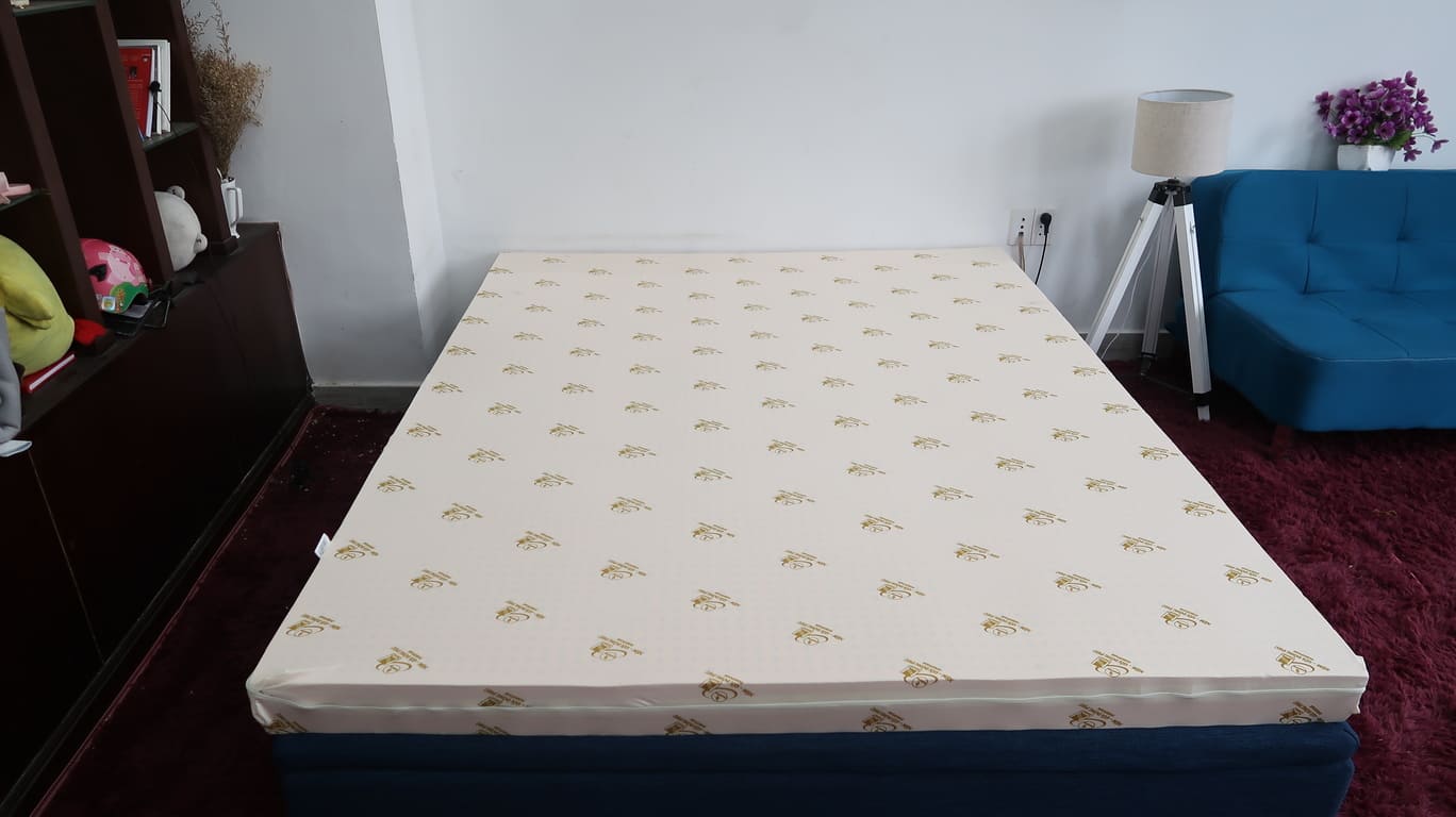 Cửa hàng đại lý nệm cao su Đồng Phú 8 Cửa hàng đại lý nệm cao su Đồng Phú