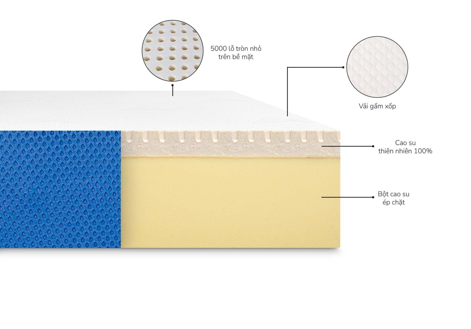Nệm cao su liên kết Aroma Natural rubber 16 Nệm cao su liên kết Natural rubber