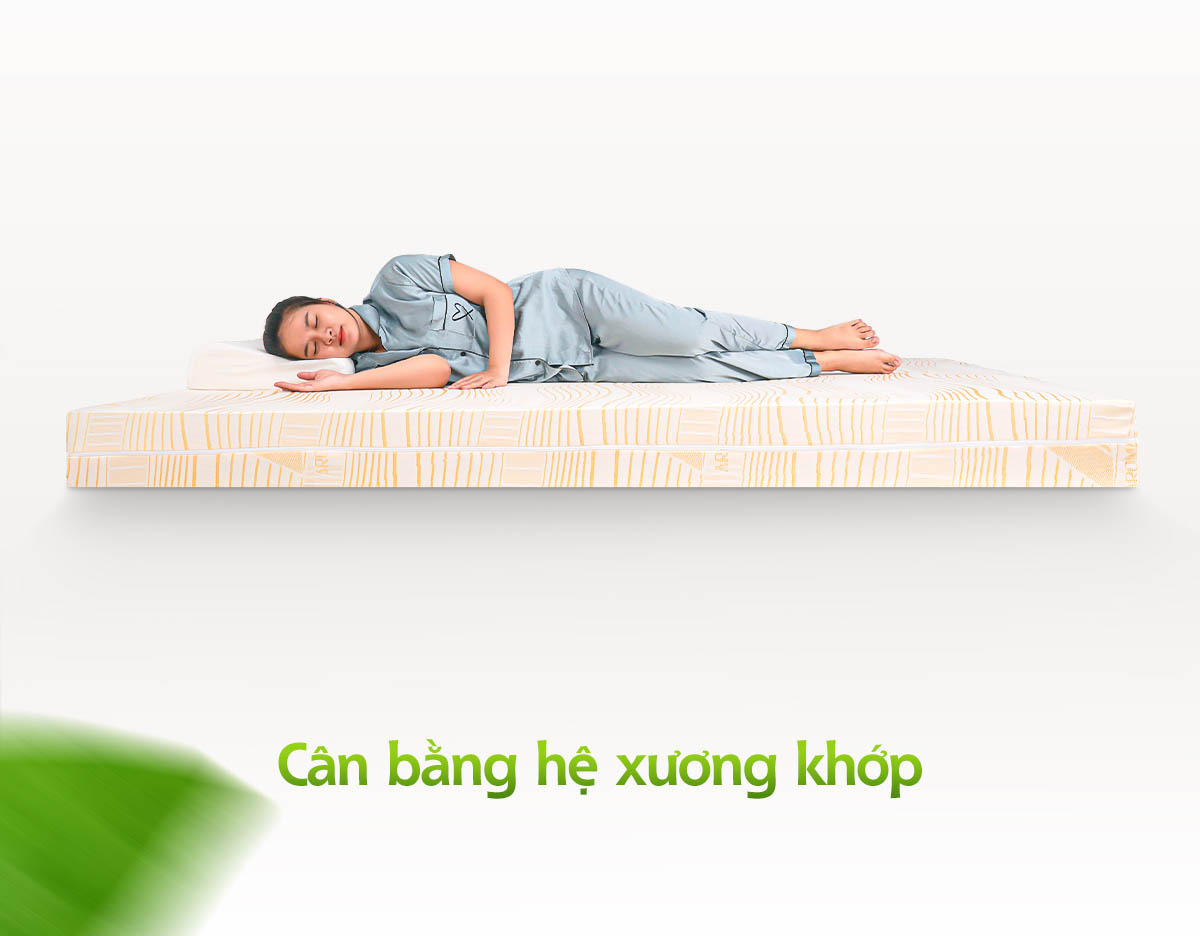 Nệm 1m x 1m9 và Nệm 1m x 2m Giá Bao Nhiêu? 7 Nệm 1m x 1m9 và Nệm 1m x 2m Giá Bao Nhiêu?
