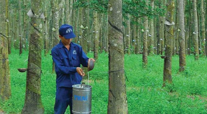 giá bán nệm cao su thiên nhiên gấp 3 8 giá bán nệm cao su thiên nhiên gấp 3