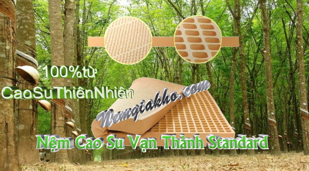 nệm cao su tự nhiên vạn thành giá tốt nhất tphcm