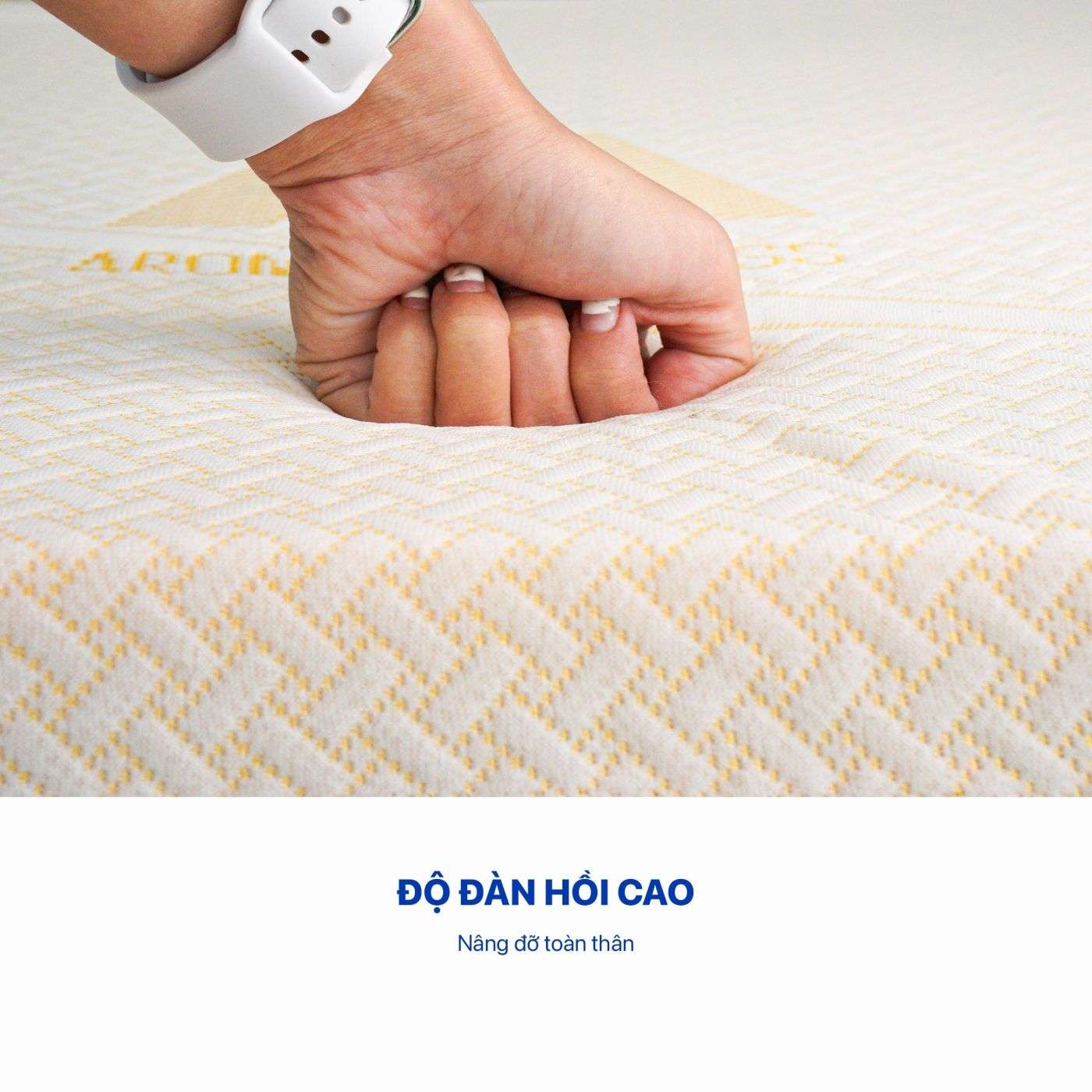 Nệm foam Aroma Classic gấp 3 3 Nệm foam Aroma Classic gấp 3