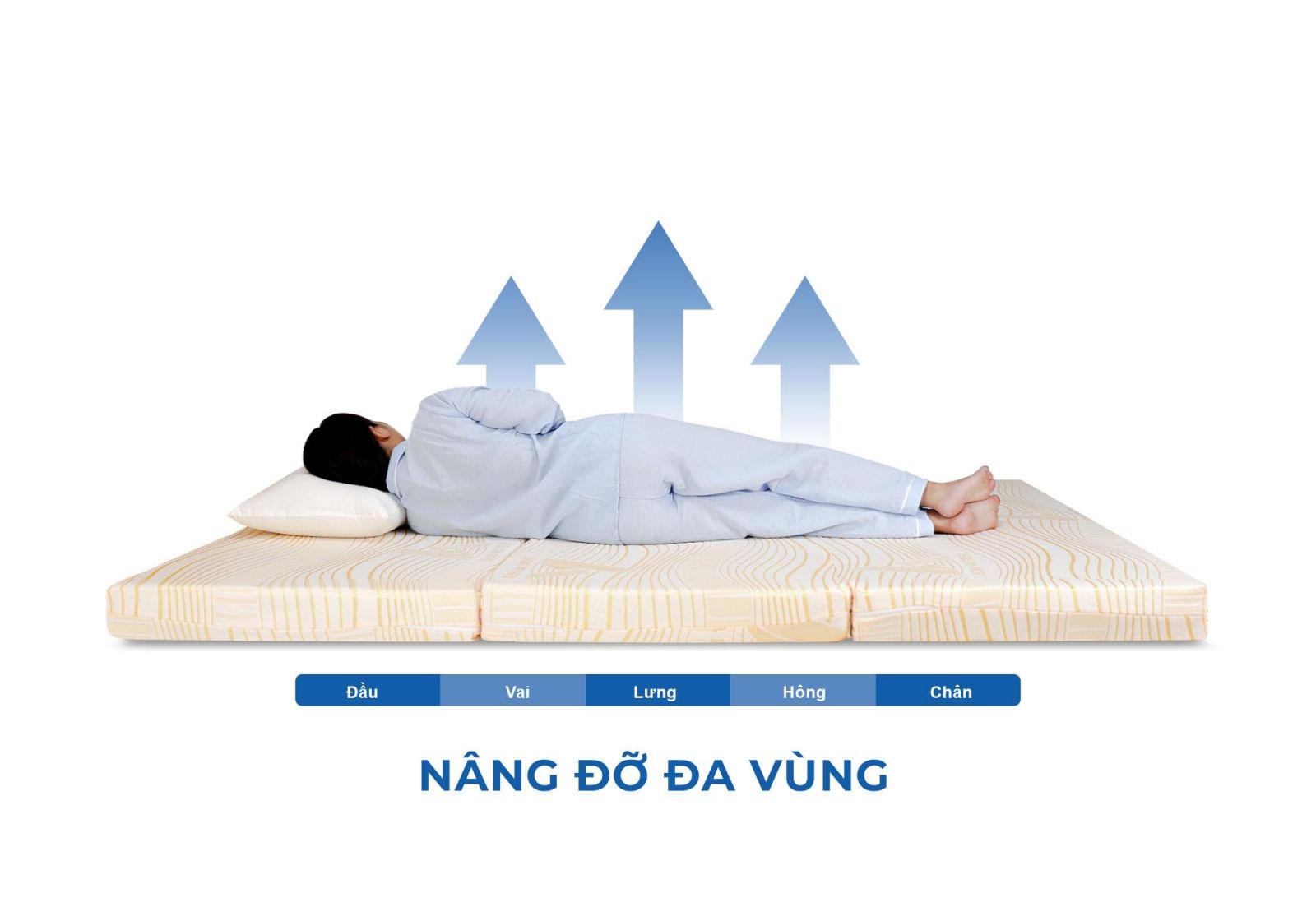 Nệm foam Aroma Classic gấp 3 13 Nệm foam Aroma Classic gấp 3 (tên cũ Adora)
