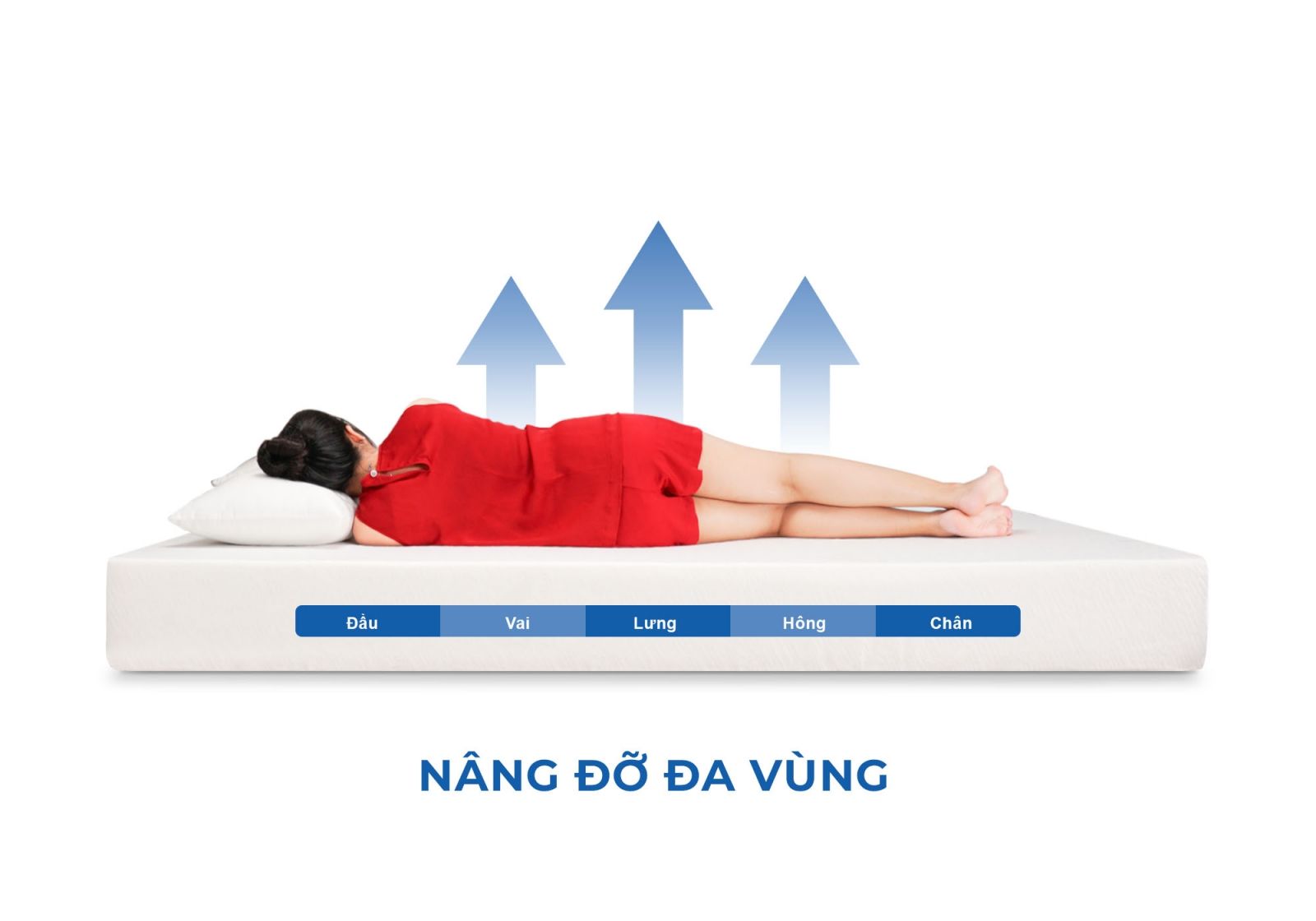 Nệm Foam Aroma Classic 16 Nệm Foam Aroma Classic