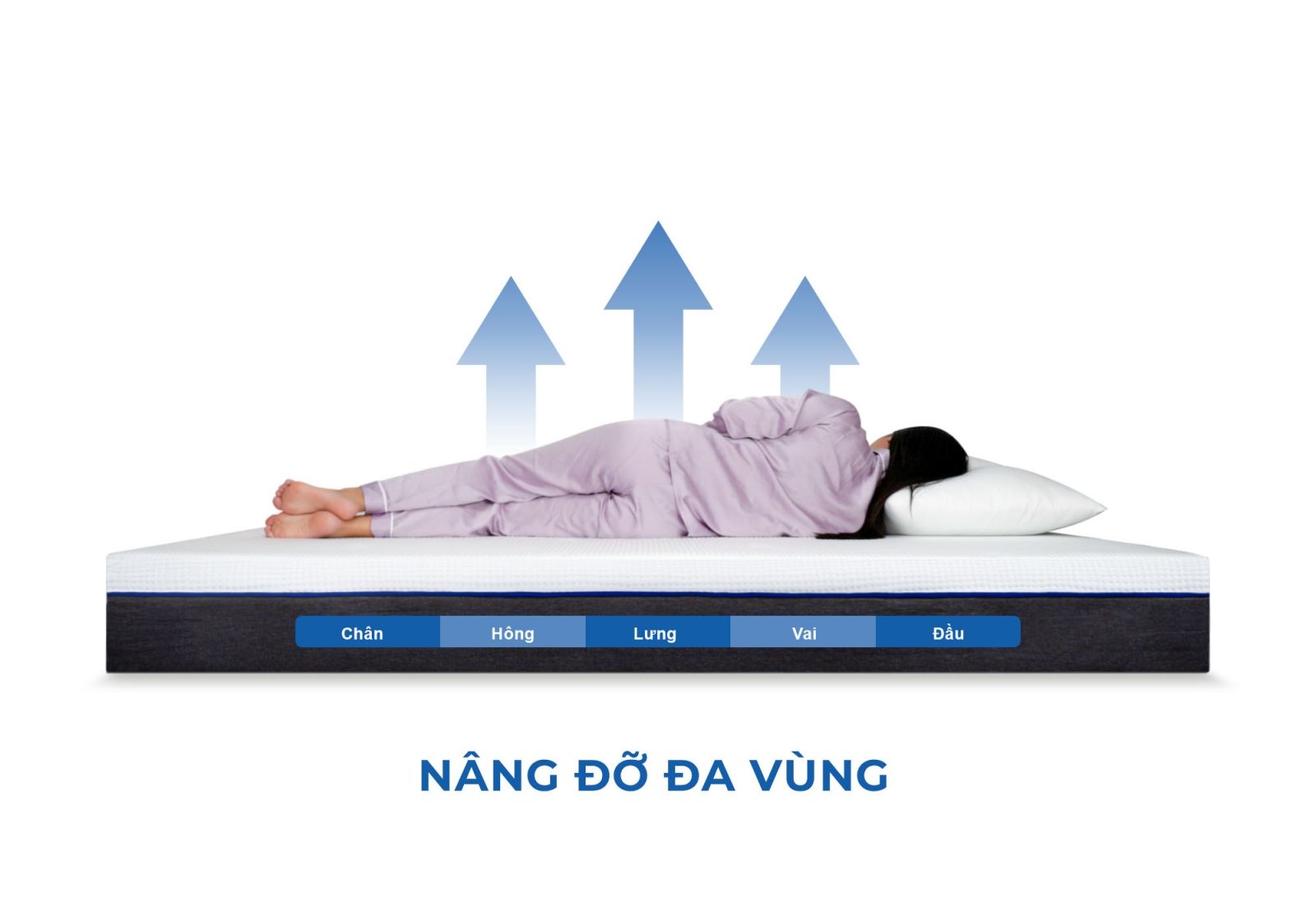 Nệm Foam Ikool9 Original Latex 19 Nệm Foam Ikool9 Original Latex