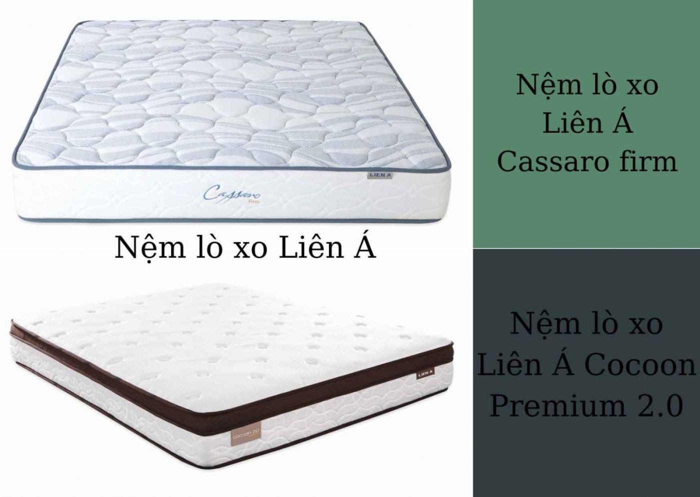 cửa hàng bán nệm lò xo Liên Á quận 7 7 cửa hàng bán nệm lò xo Liên Á quận 7