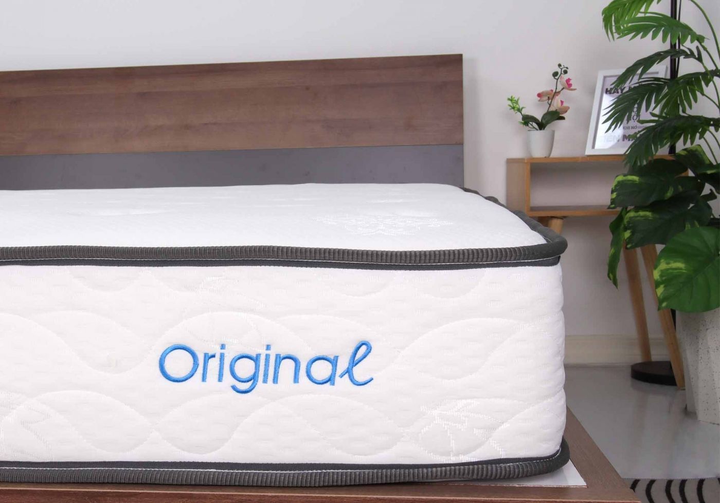 Nệm lò xo túi cuộn IKool9 Original 4 Nệm lò xo túi cuộn IKool9 Original