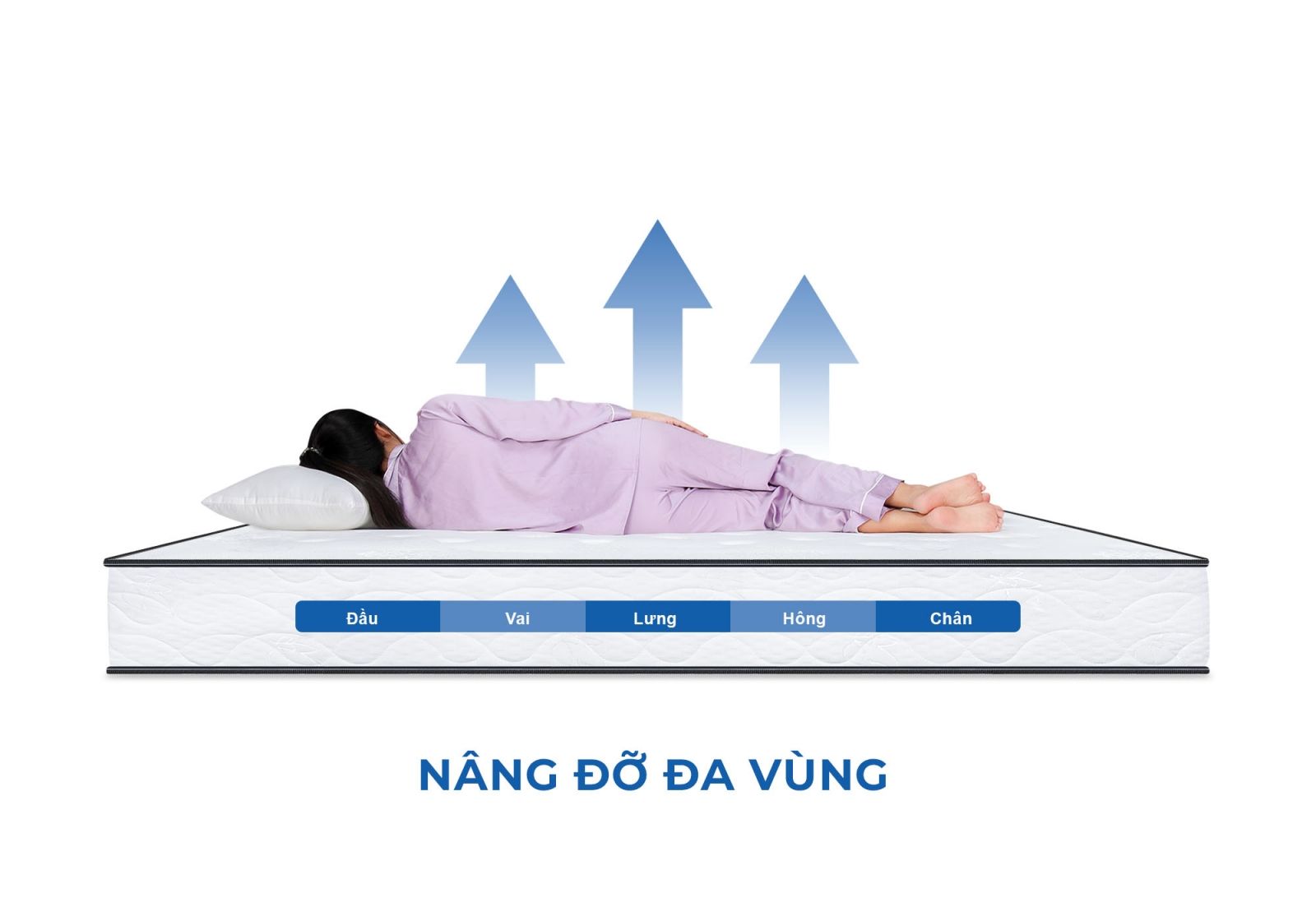 Nệm lò xo túi cuộn IKool9 Original 16 Nệm lò xo túi cuộn IKool9 Original