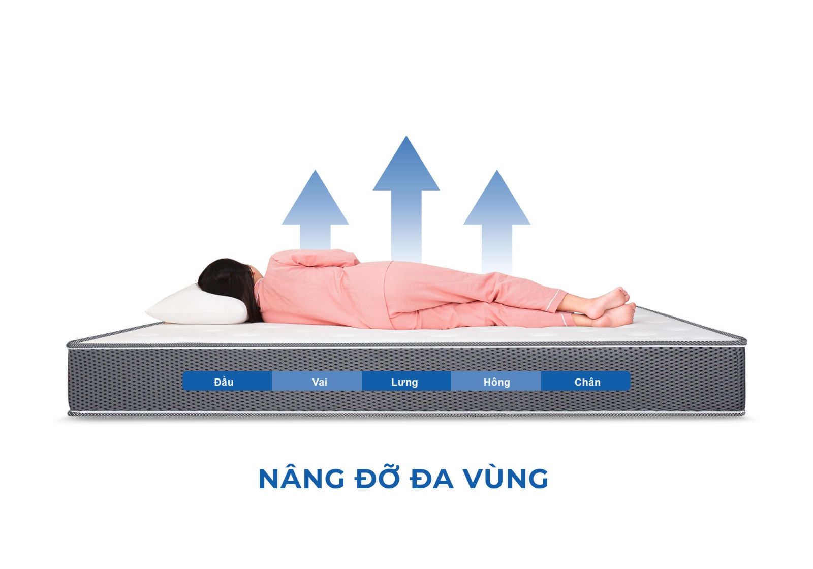 Nệm lò xo túi độc lập Aroma Cool Coil 2 viền 13 Nệm lò xo túi độc lập Aroma Cool Coil 2 viền