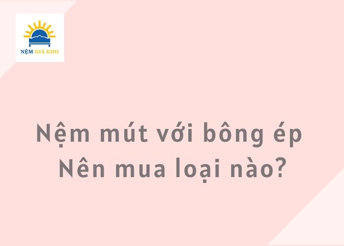 So sánh nệm mút với nệm bông ép 9 So sánh nệm mút với nệm bông ép