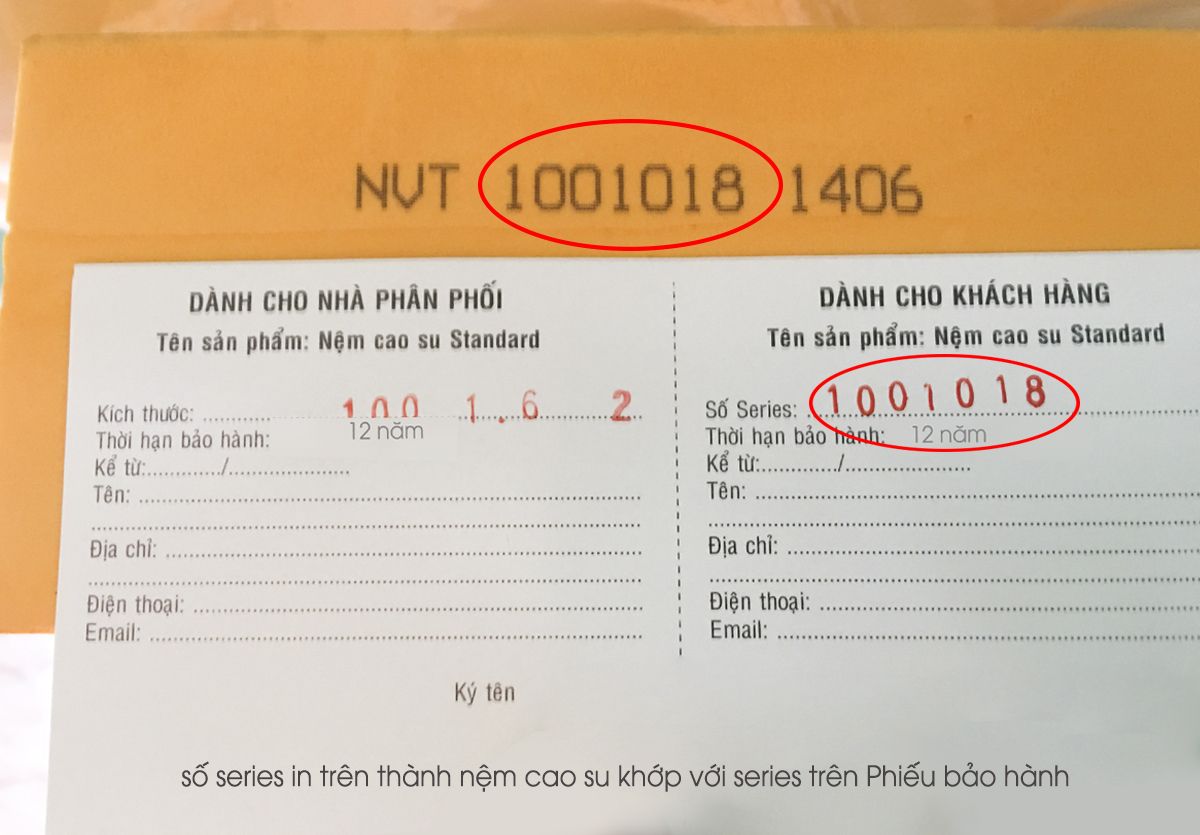 Dòng Nệm Cao Su Vạn Thành bán chạy Số 1 Việt Nam 11 Dòng Nệm Cao Su Vạn Thành bán chạy Số 1 Việt Nam