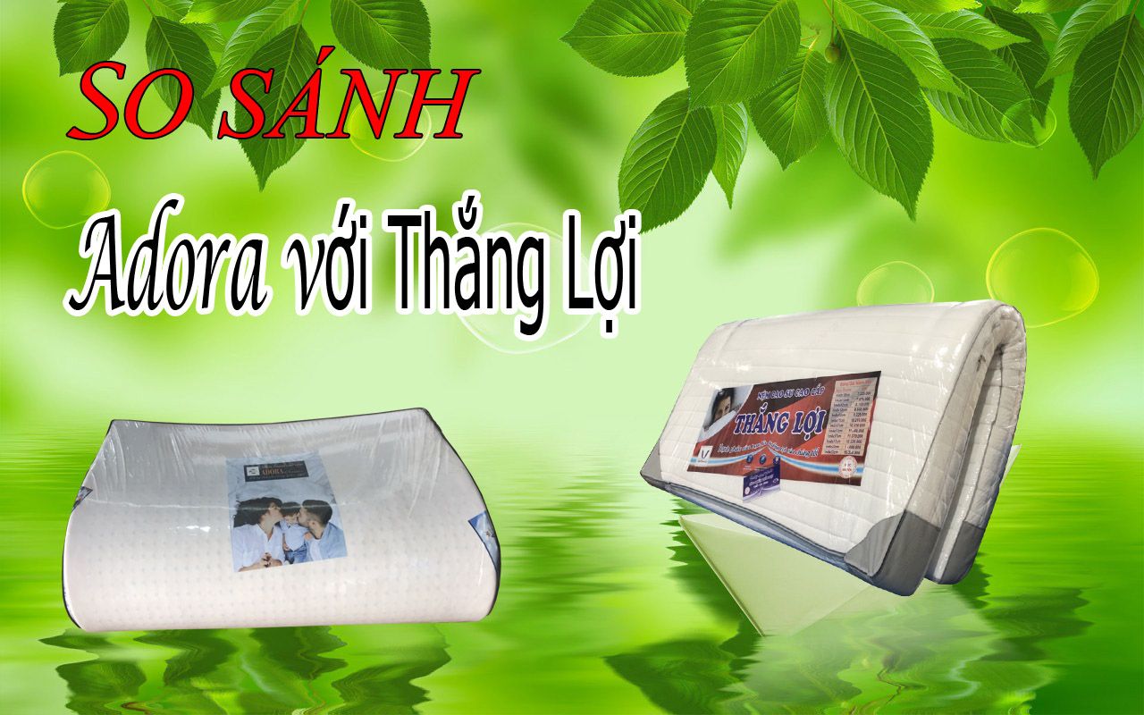So sánh Nệm cao su non Thắng Lợi và Nệm Foam cao cấp Adora Classic